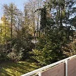 Harzwichtel Am Waldesrand Braunlage