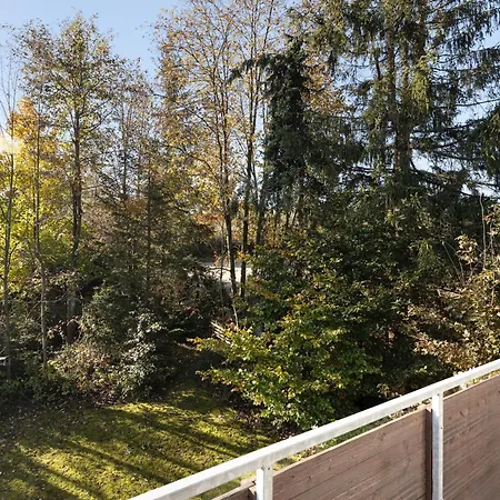 Harzwichtel Am Waldesrand
