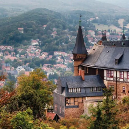 Harzwichtel Am Waldesrand Braunlage