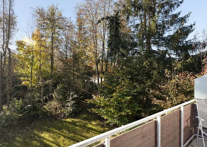 Harzwichtel Am Waldesrand Браунлаге