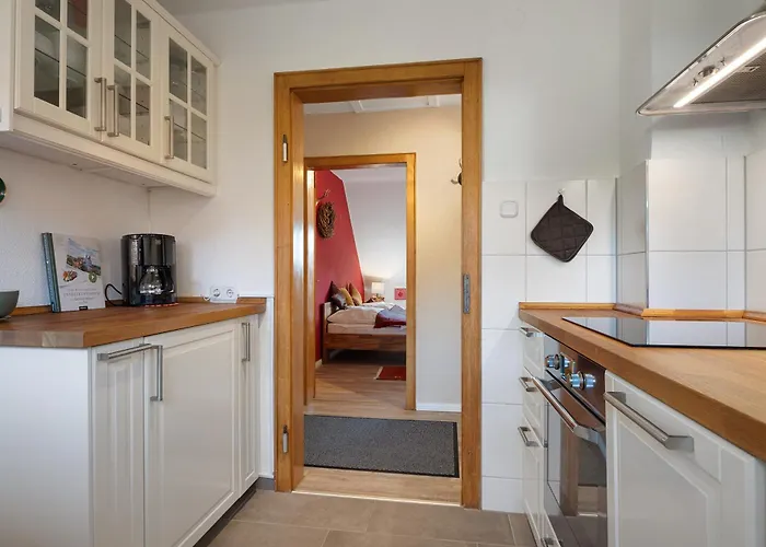 Harzwichtel Am Waldesrand